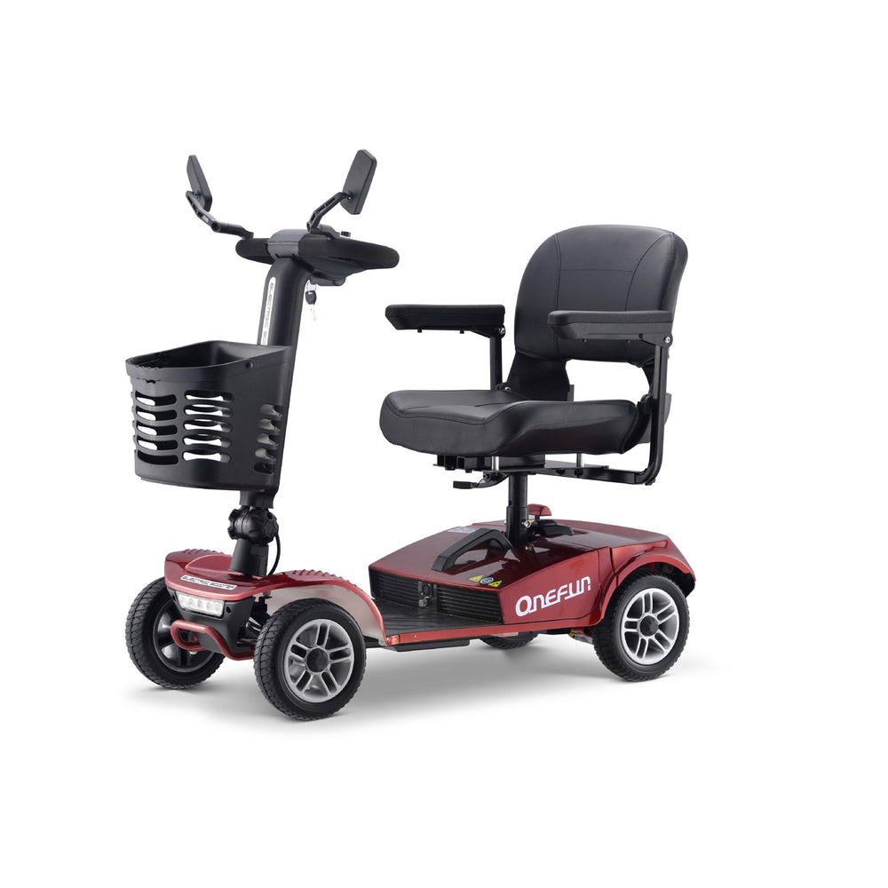Baichen Electric Scooter 4 Wheels 250W, BC-MS018