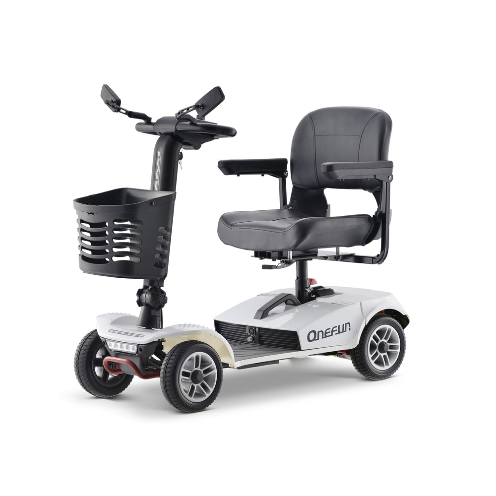 Baichen Electric Scooter 4 Wheels 250W, BC-MS018