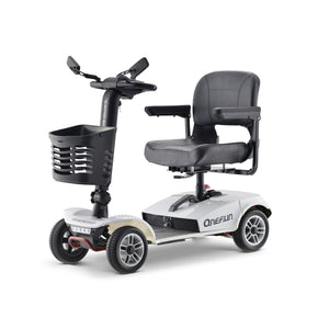 Baichen Electric Scooter 4 Wheels 250W, BC-MS018