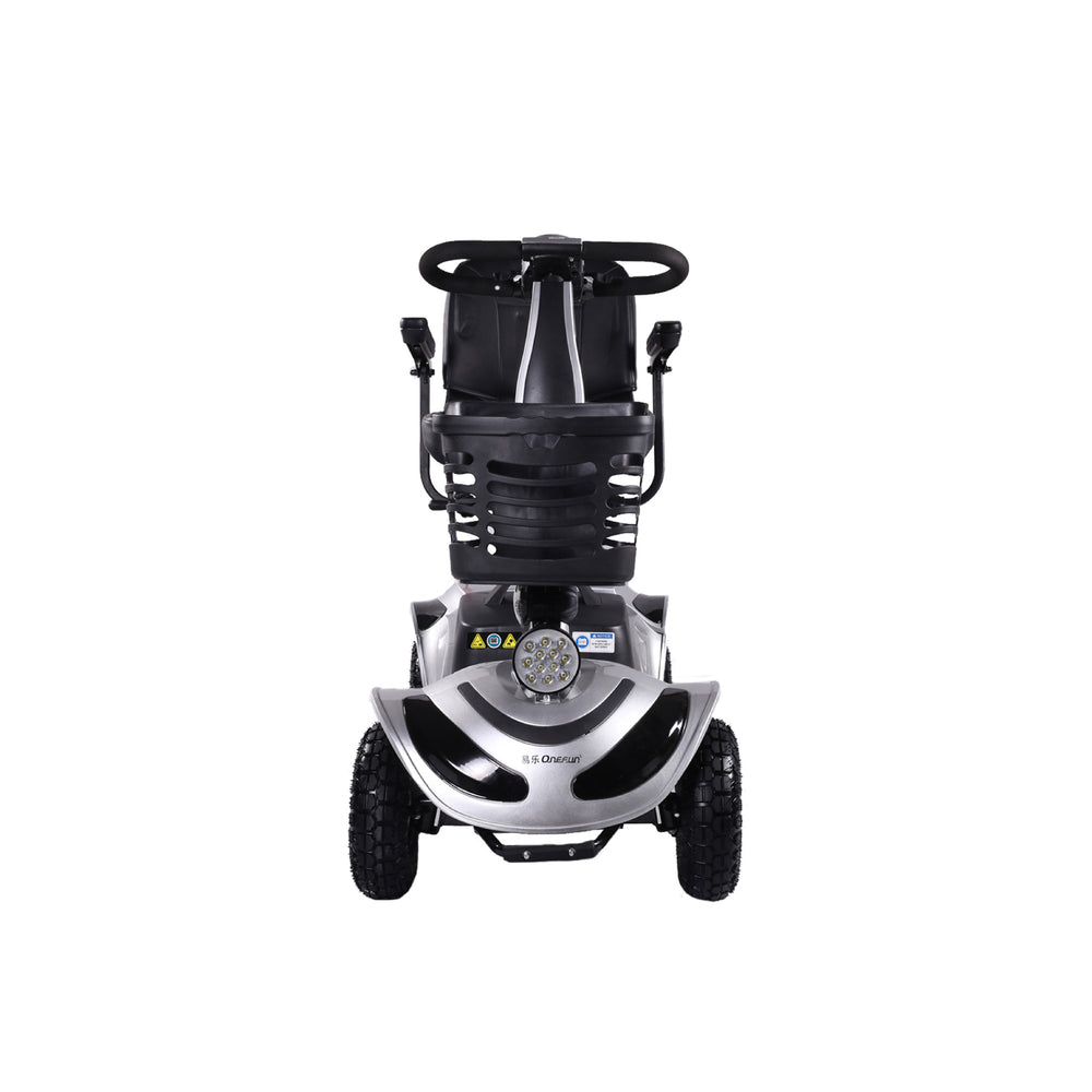 Baichen Wholesale Mobility Electric Scooter, BC-MS016