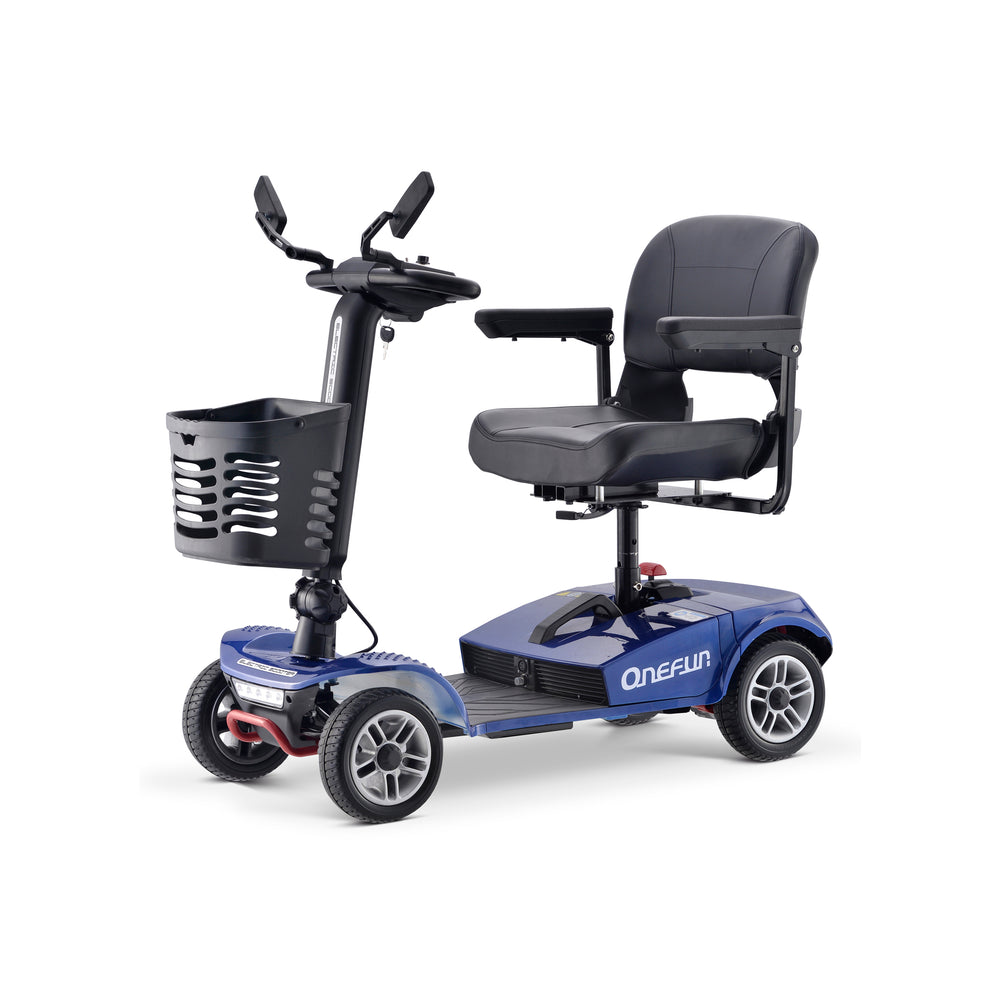Baichen Electric Scooter 4 Wheels 250W, BC-MS018